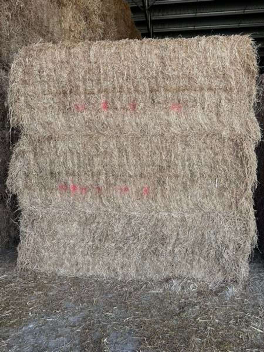 Batch 4990788000156955011 Image