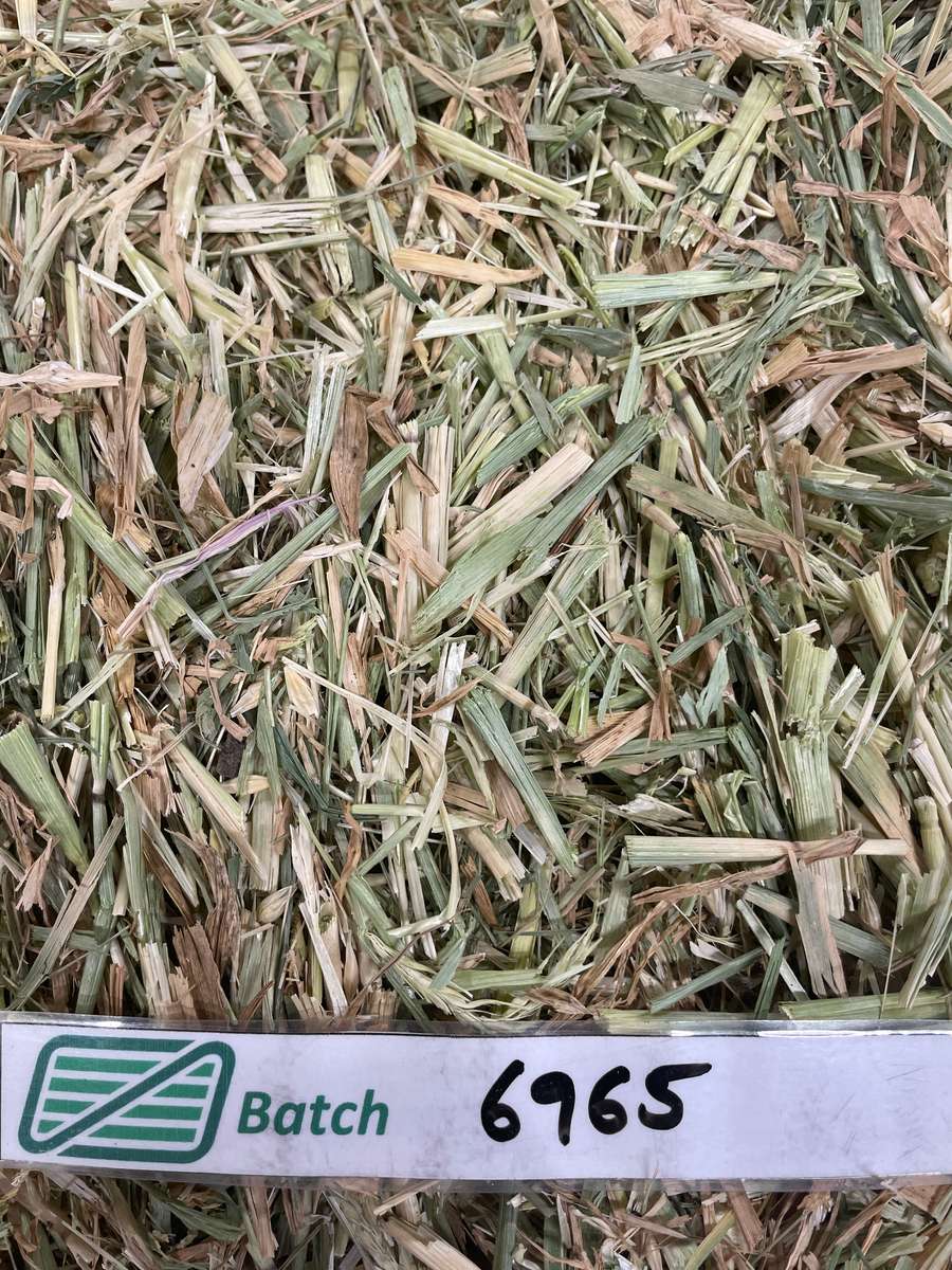 Batch 4990788000196881009 Image