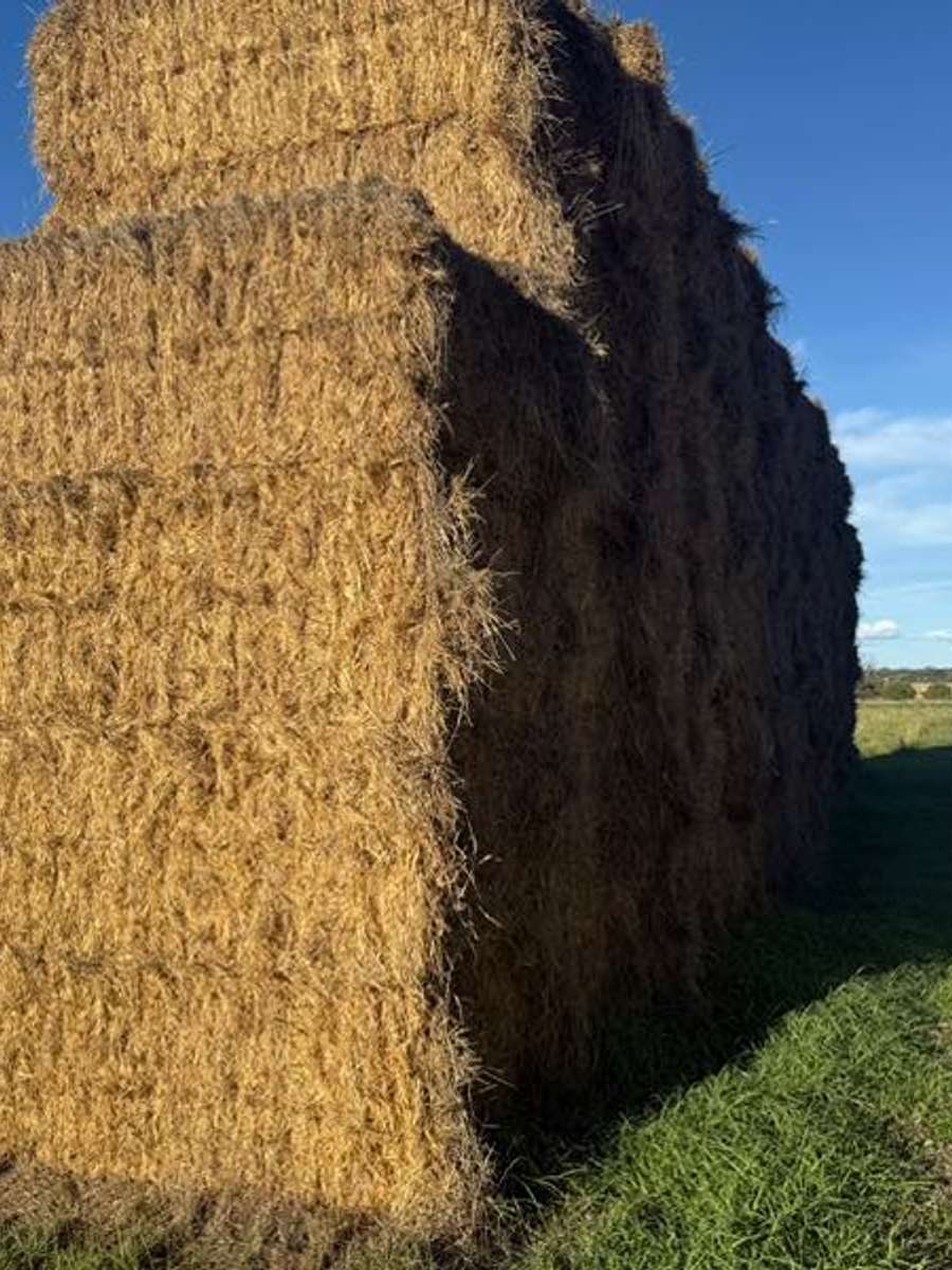 Batch 4990788000175711001 Image