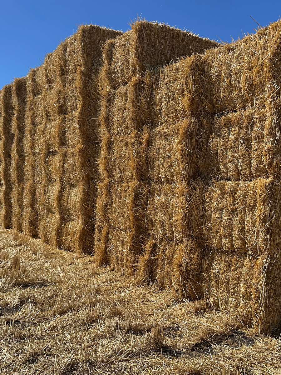 Batch 4990788000203803107 Image