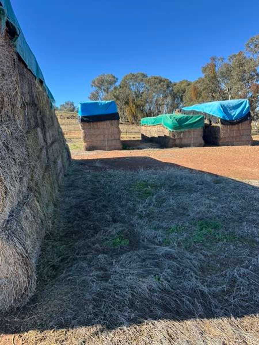 Batch 4990788000183741006 Image