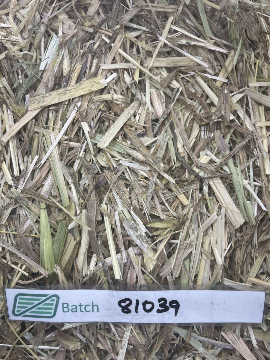 Batch 4990788000199024225 Image