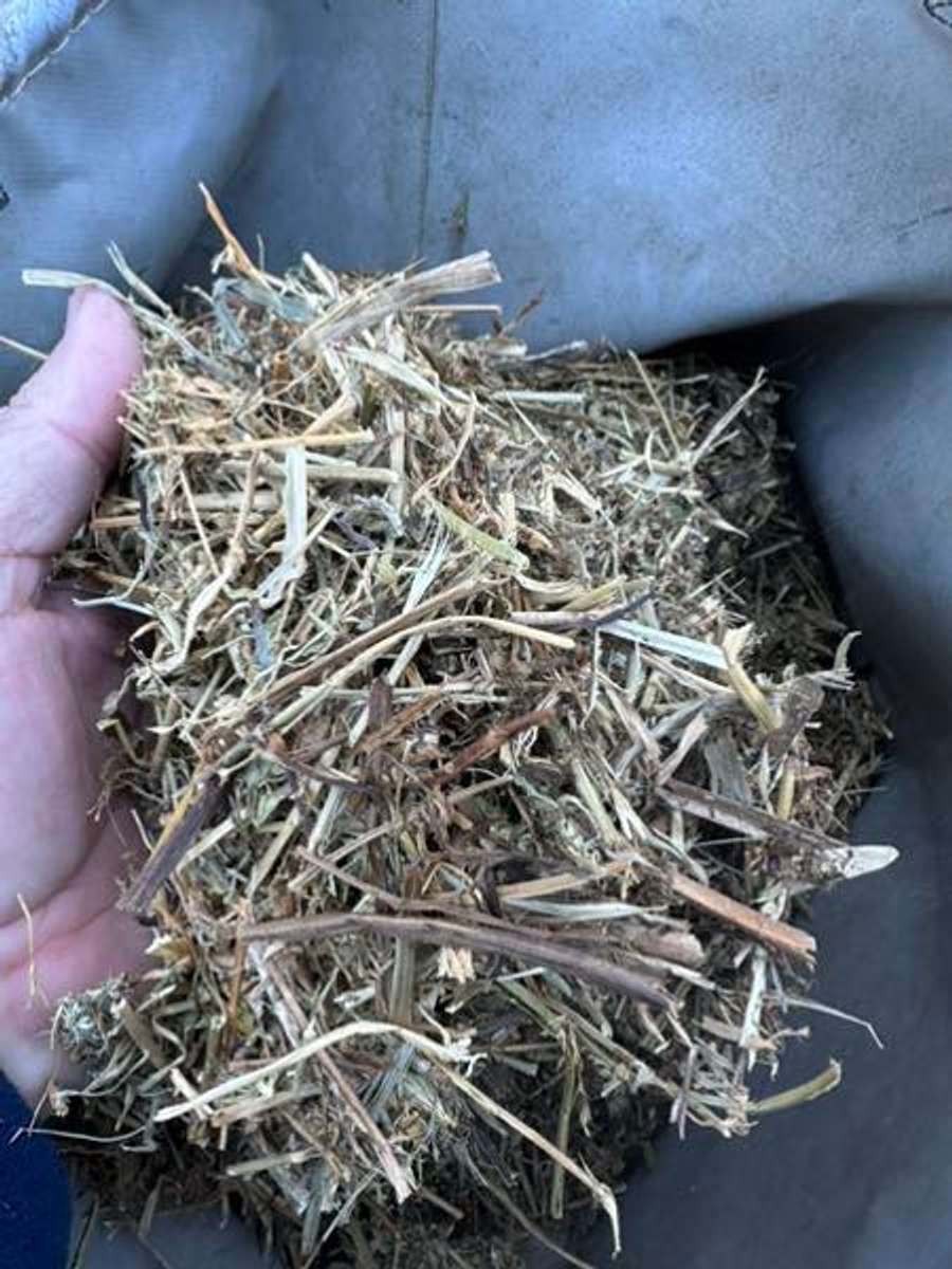 Batch 4990788000183741006 Image