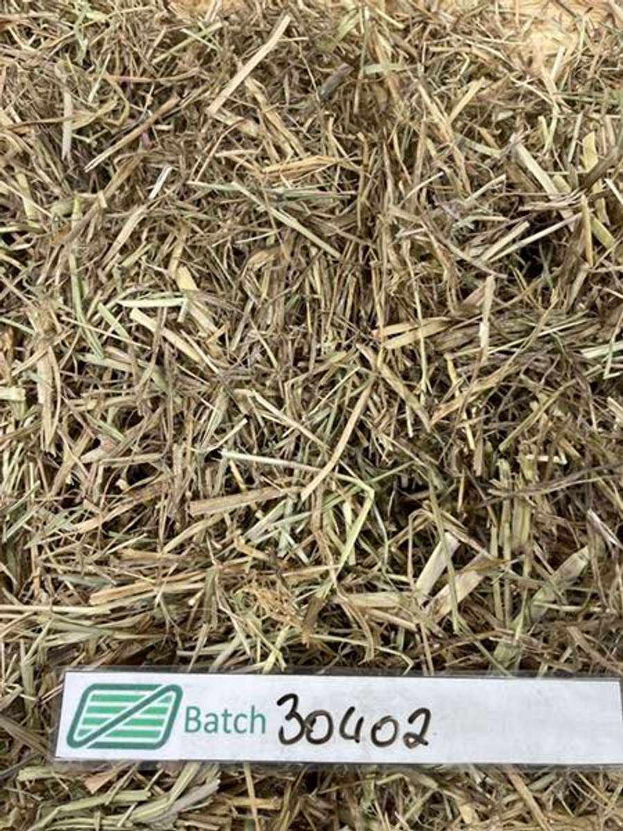 Batch 4990788000175711001 Image