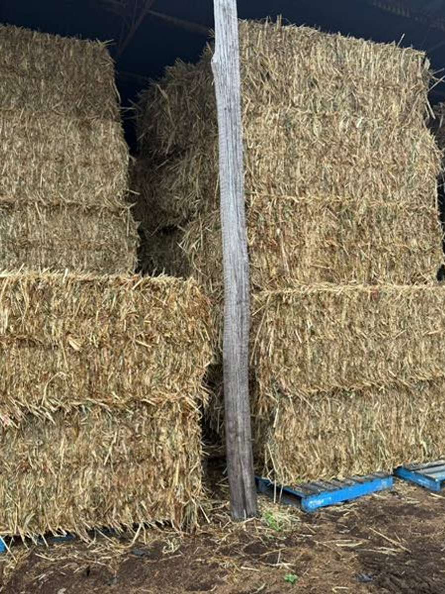 Batch 4990788000164356016 Image