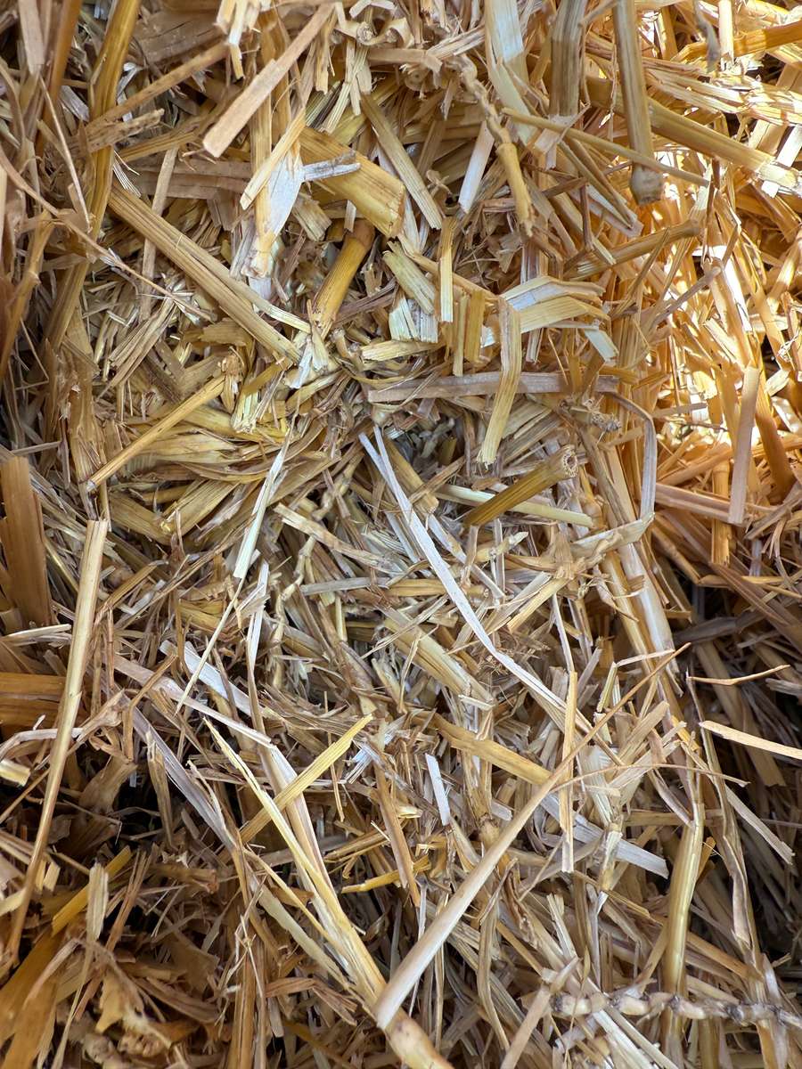 Batch 4990788000184775195 Image