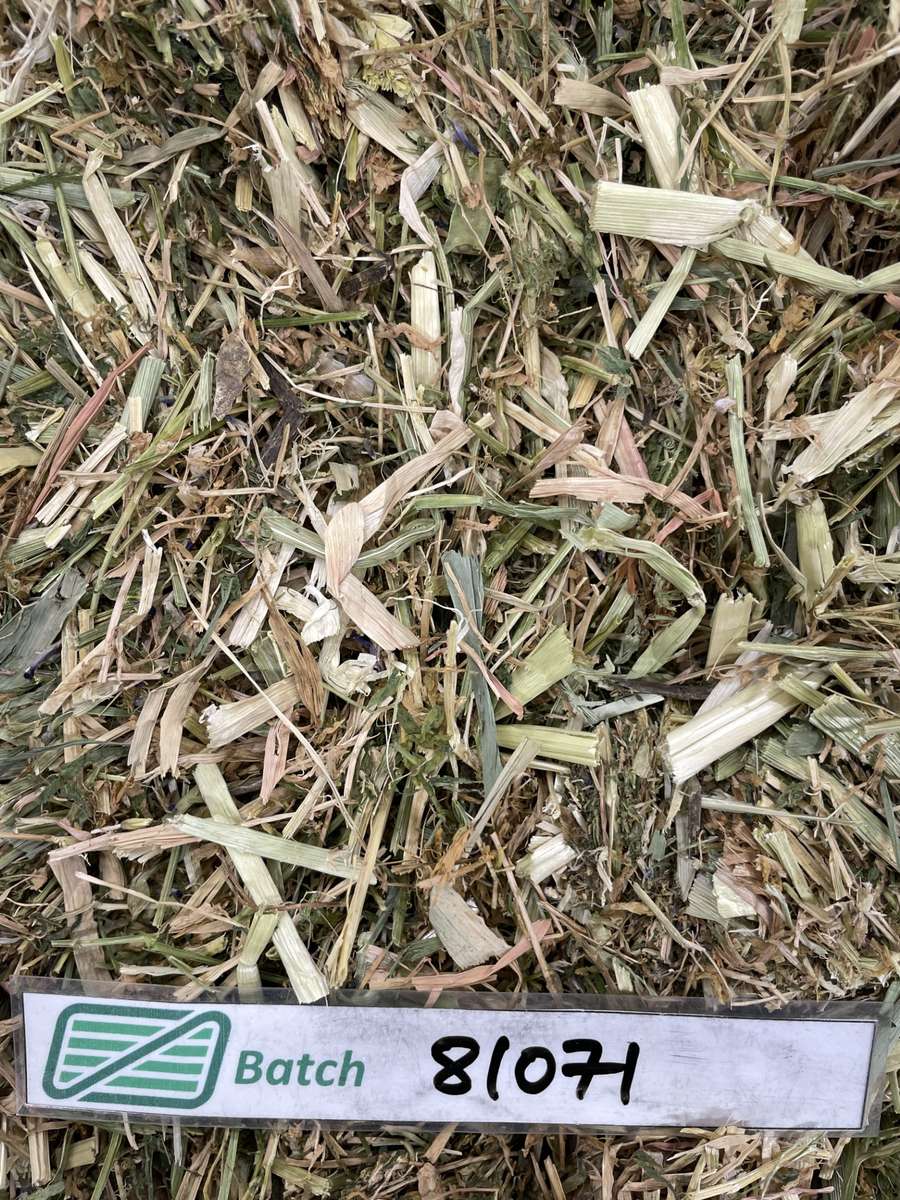 Batch 4990788000200113191 Image