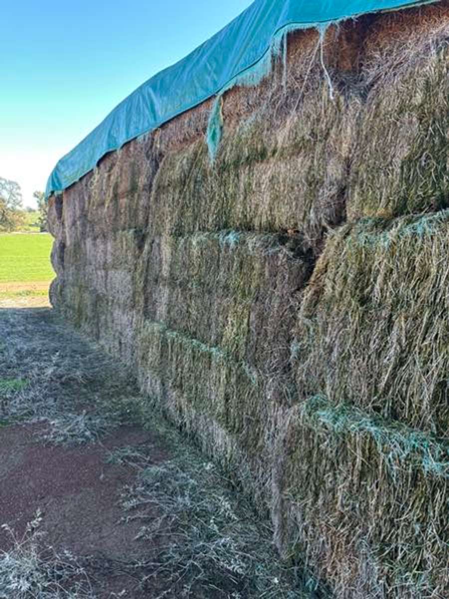 Batch 4990788000183741006 Image