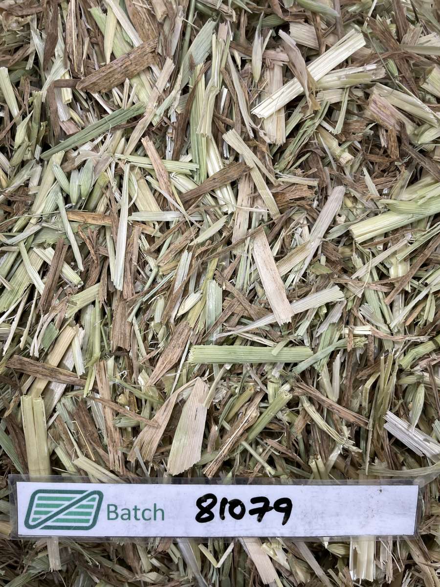 Batch 4990788000200913141 Image