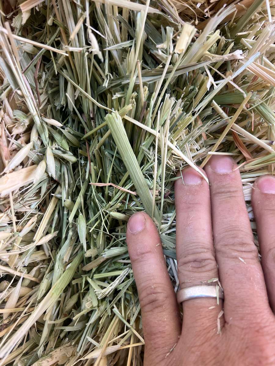 Batch 4990788000203200268 Image