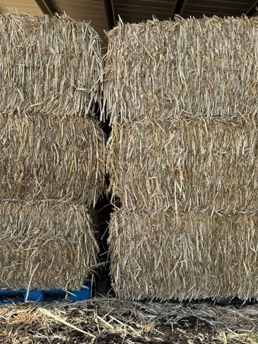 Batch 4990788000165148063 Image