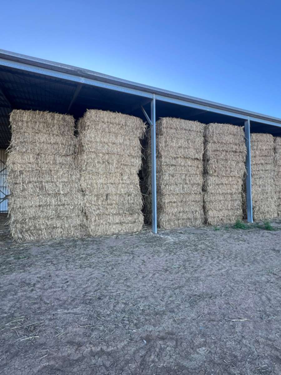 Batch 4990788000193733126 Image