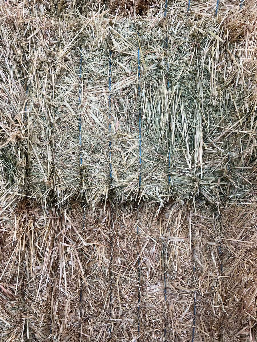 Batch 4990788000203200268 Image