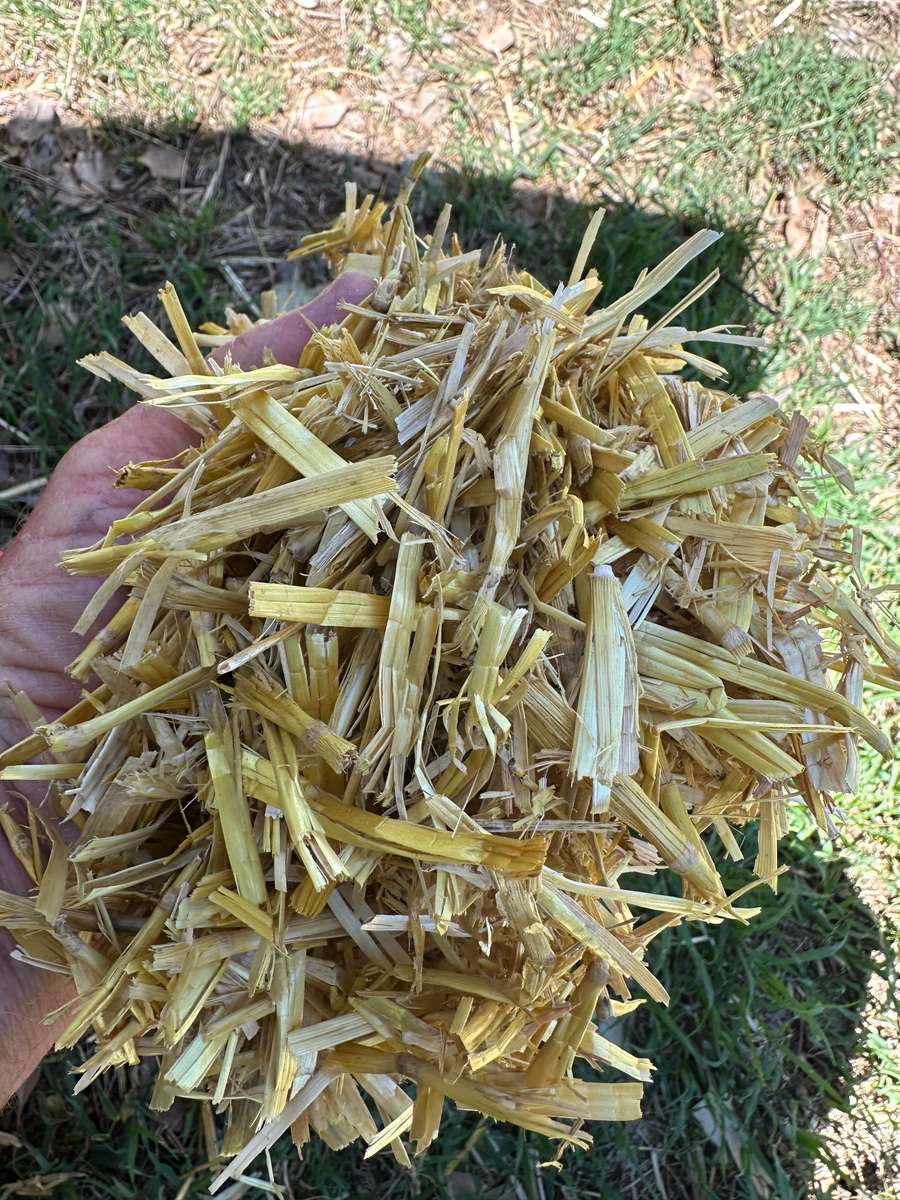 Batch 4990788000203584587 Image