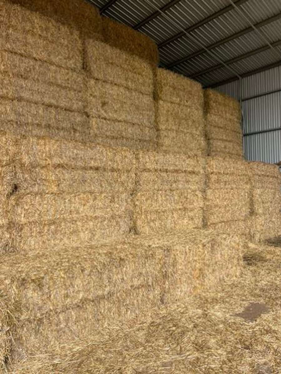 Batch 4990788000181099415 Image