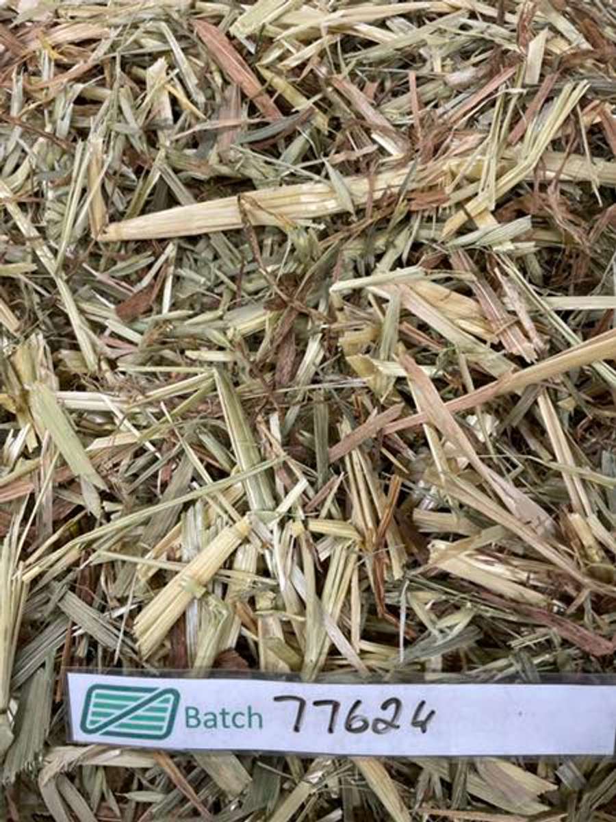 Batch 4990788000169977084 Image