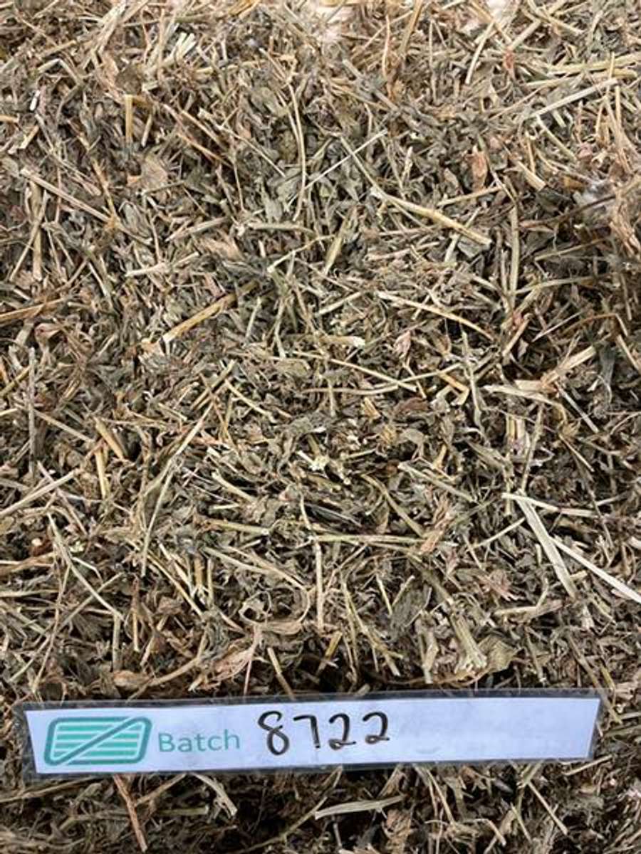 Batch 4990788000173654116 Image