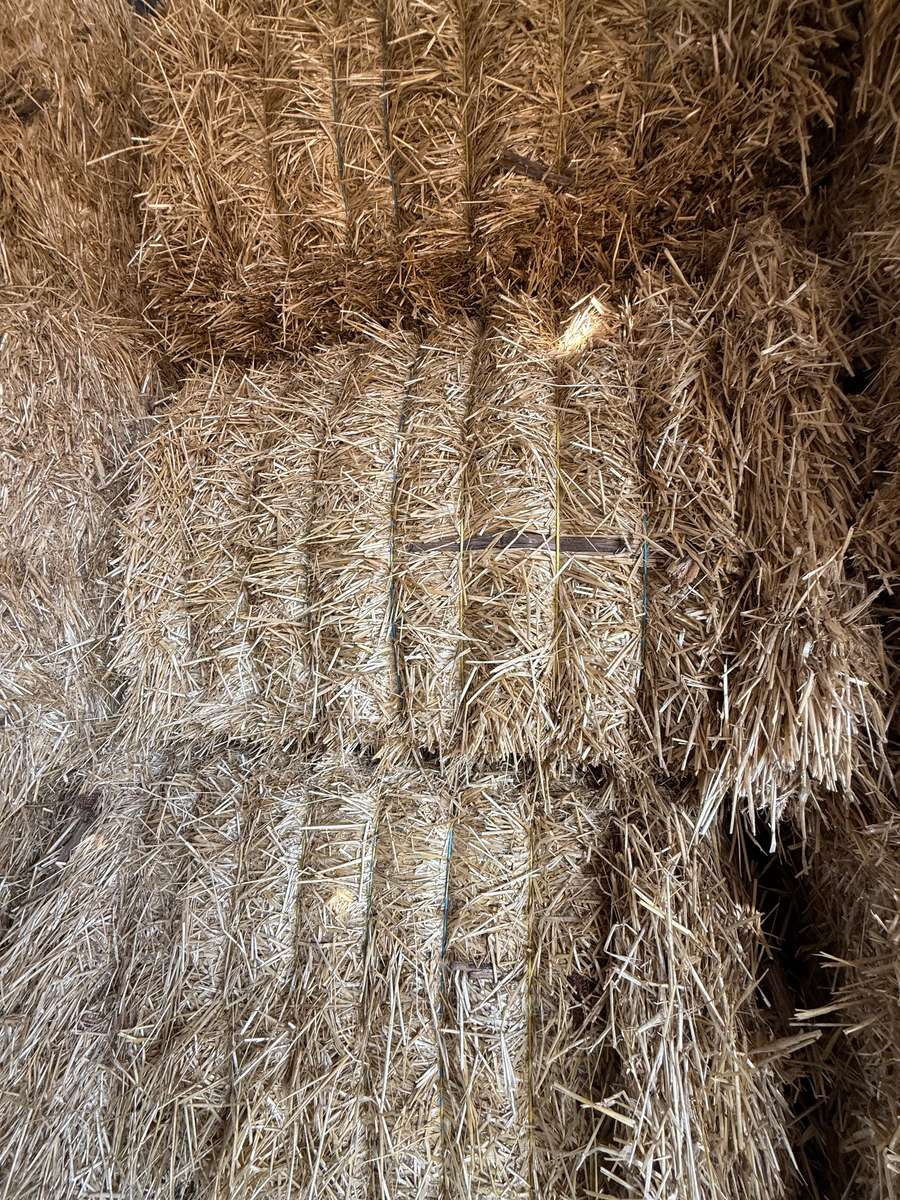 Batch 4990788000205839345 Image