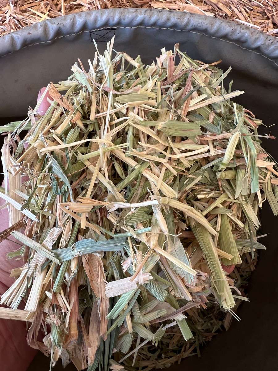 Batch 4990788000203200268 Image