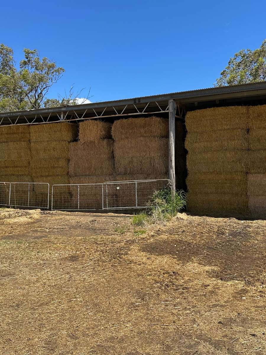 Batch 4990788000203580633 Image