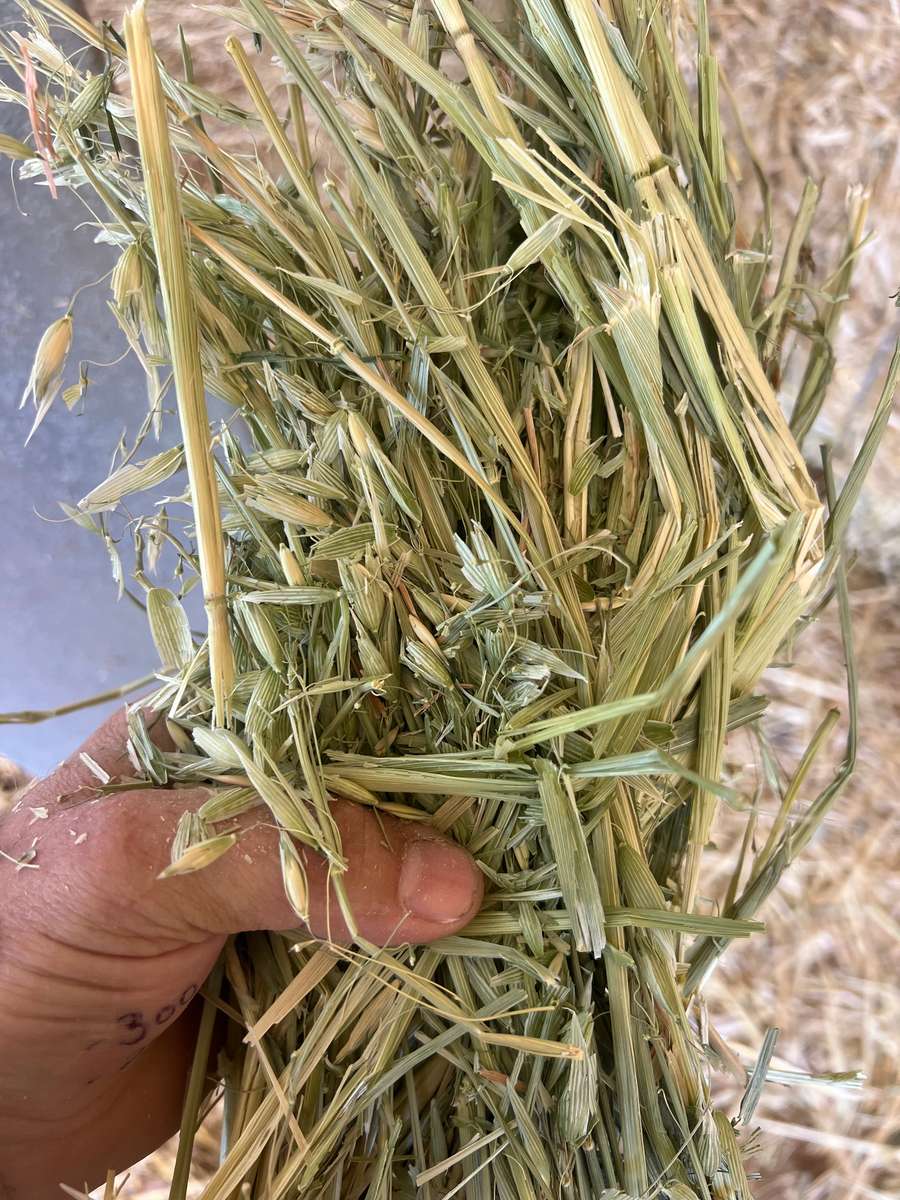 Batch 4990788000203200268 Image