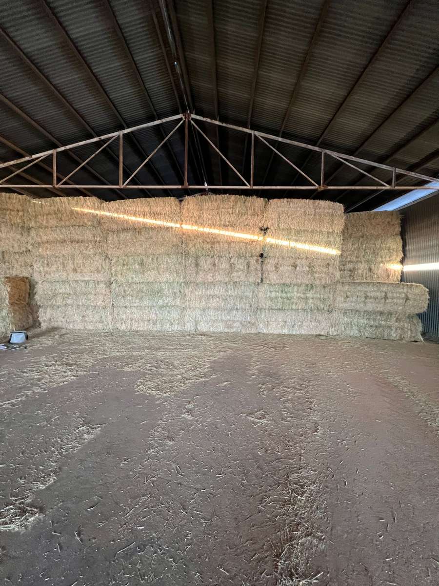 Batch 4990788000204928434 Image