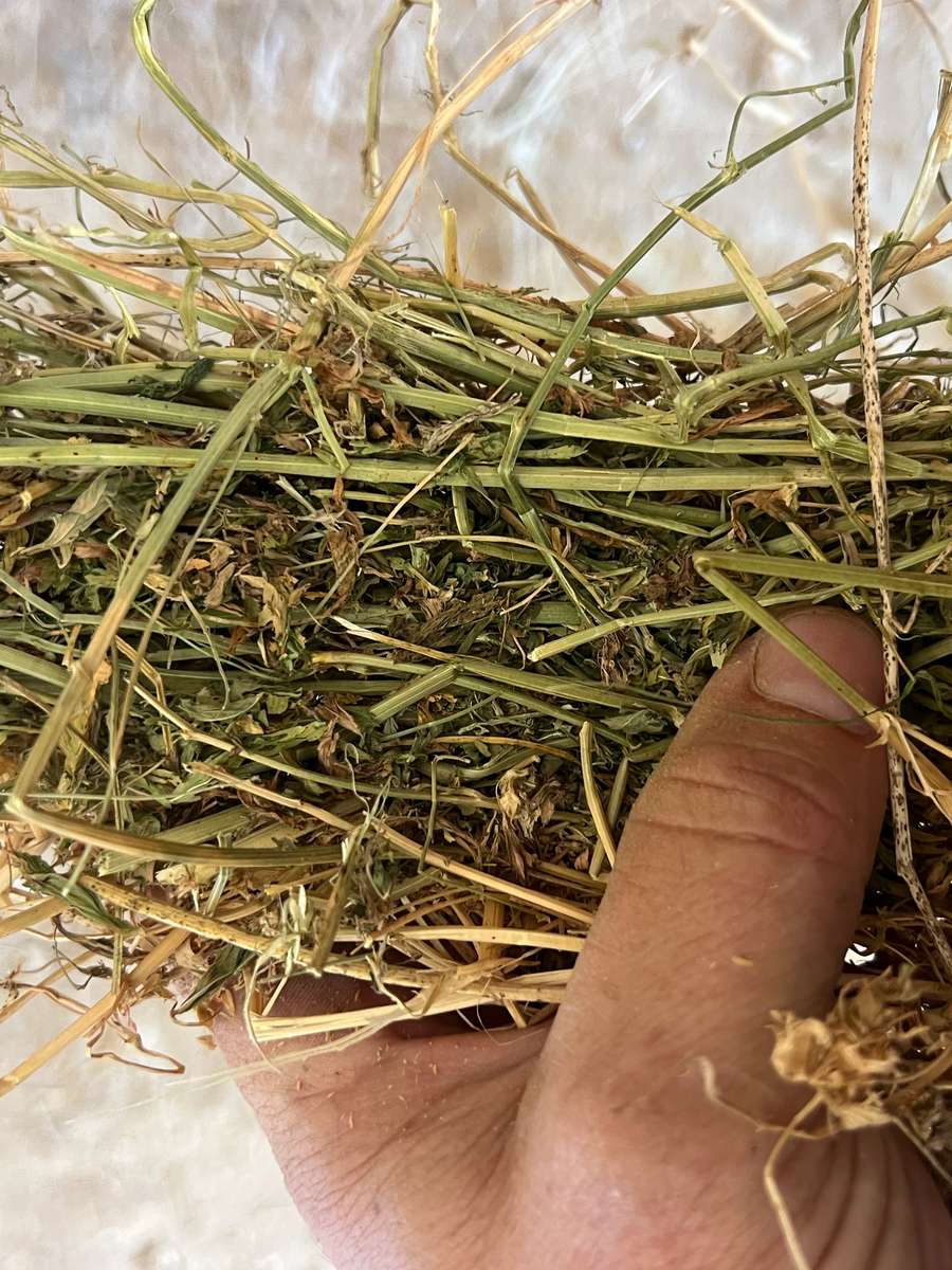 Batch 4990788000203788168 Image