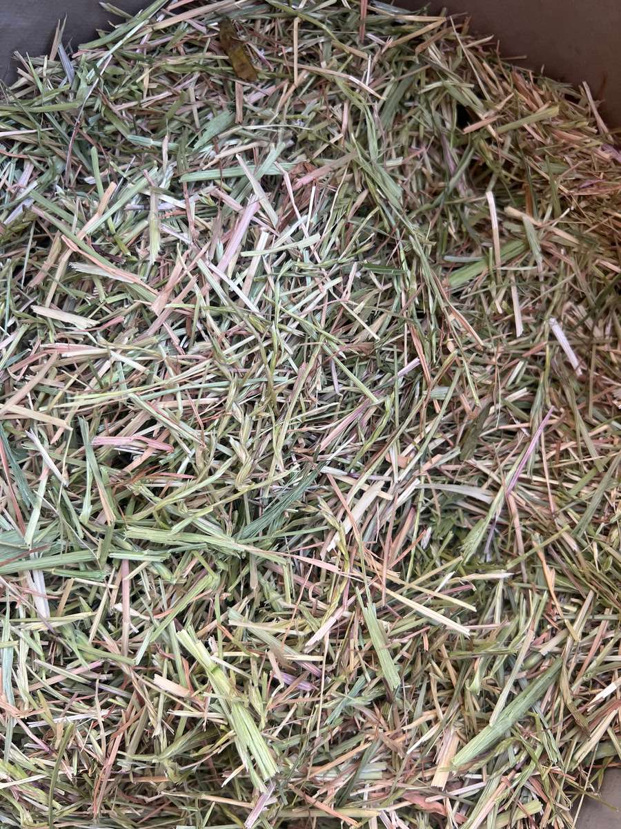 Batch 4990788000204928434 Image