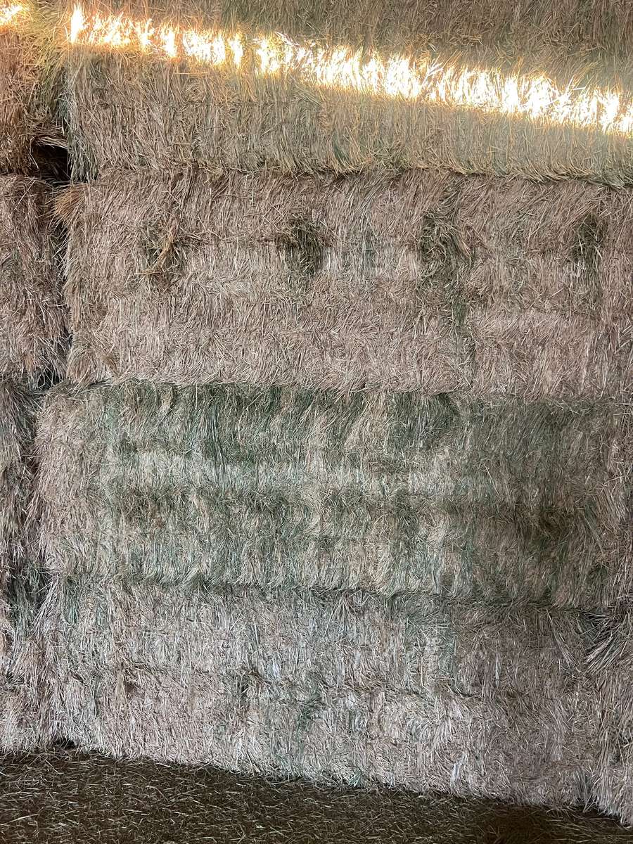 Batch 4990788000204928434 Image