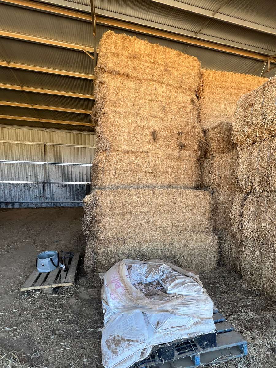 Batch 4990788000203788168 Image