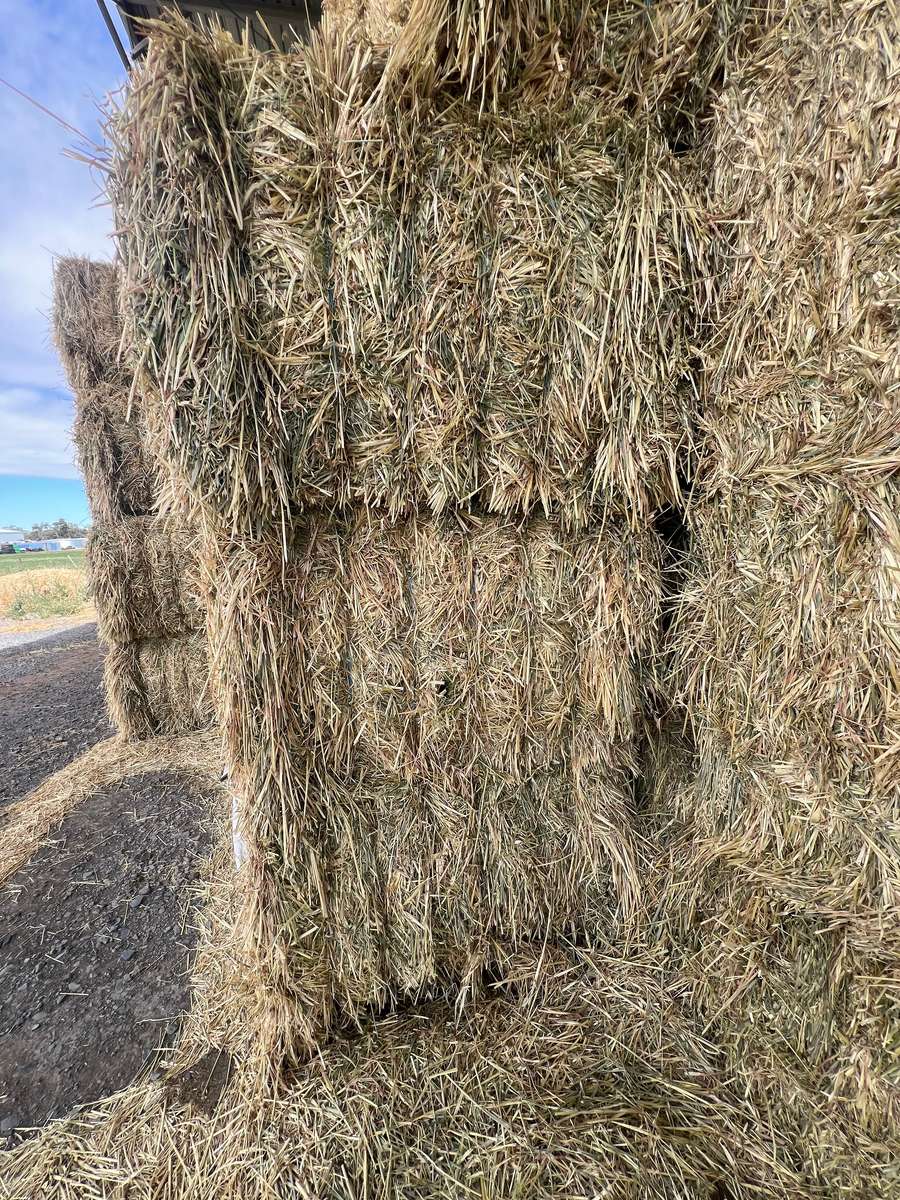 Batch 4990788000204928681 Image