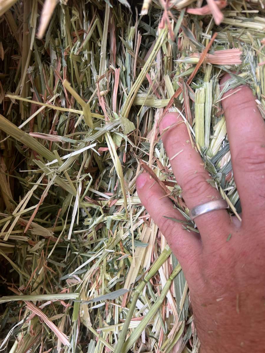 Batch 4990788000204928681 Image