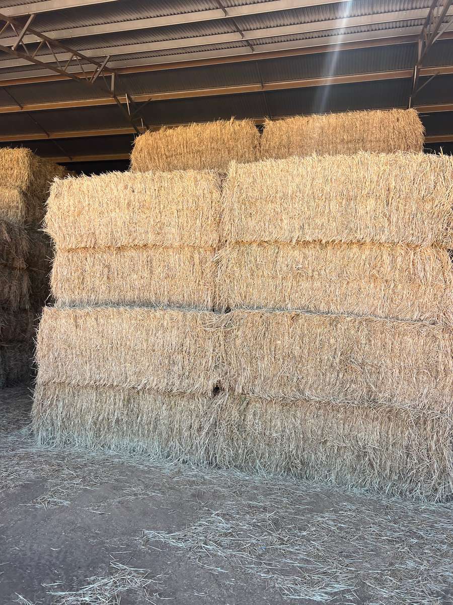 Batch 4990788000203804117 Image