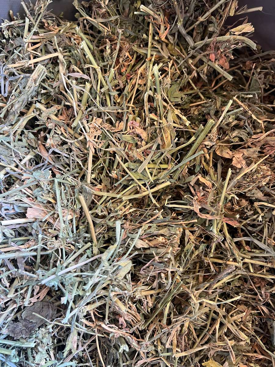 Batch 4990788000203788168 Image