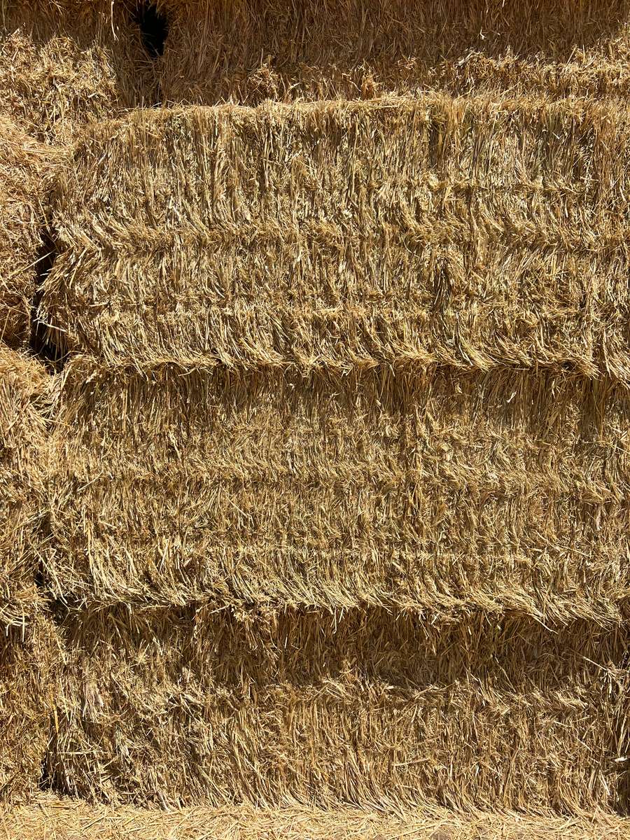 Batch 4990788000204228483 Image