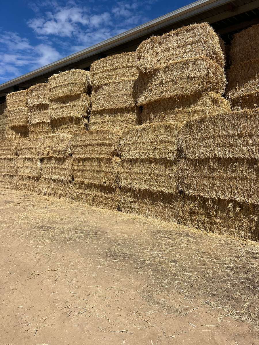 Batch 4990788000204228483 Image