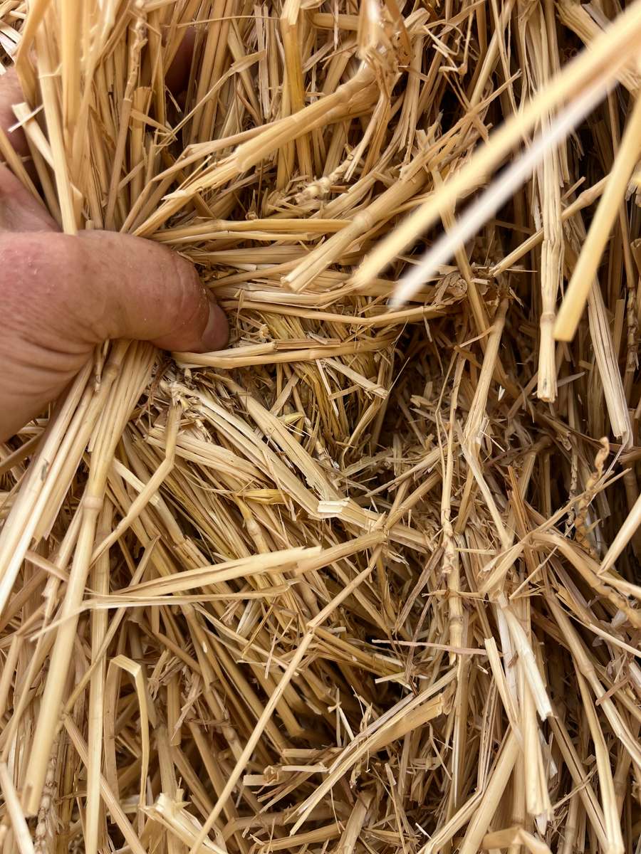 Batch 4990788000202777194 Image