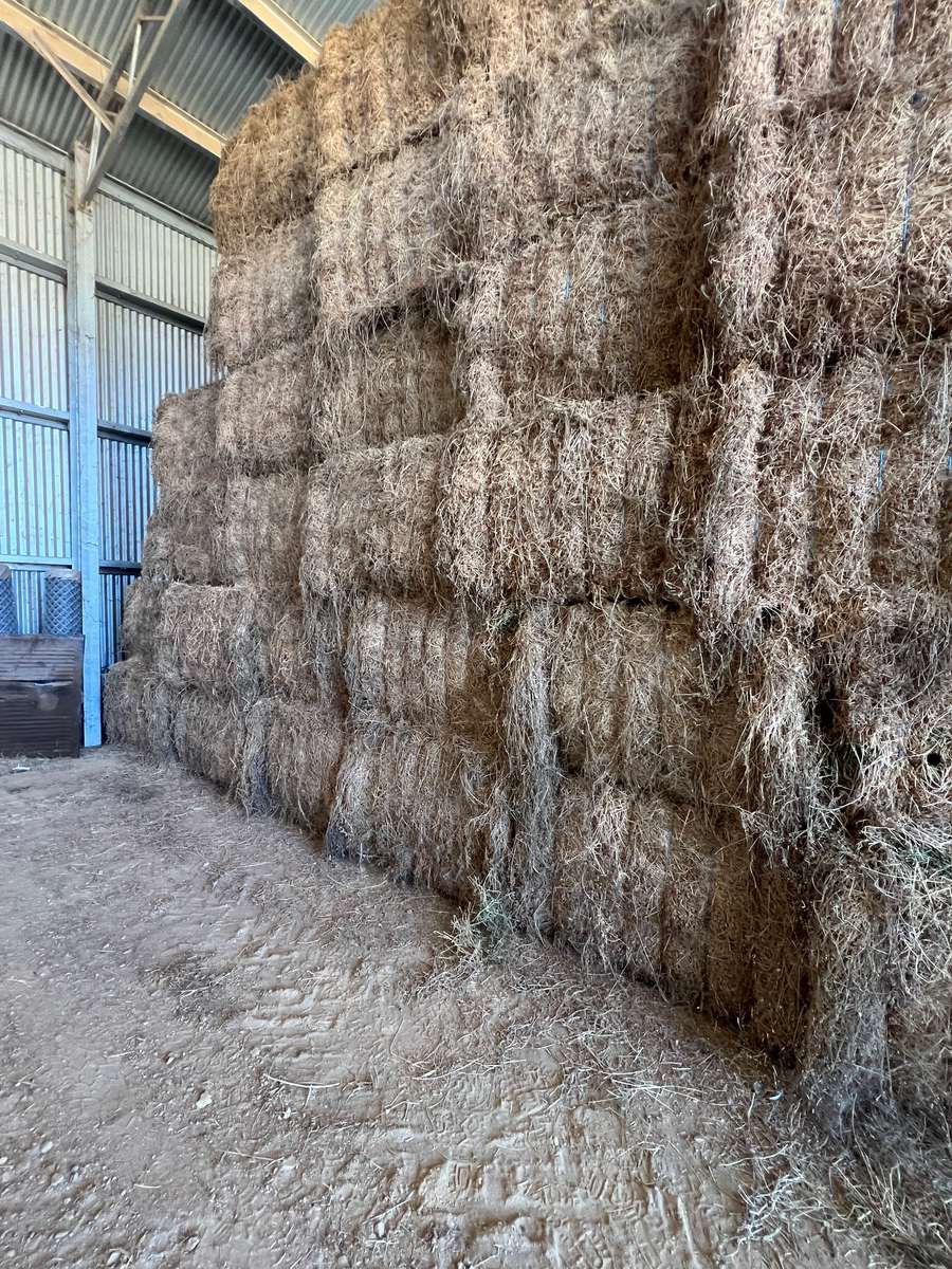 Batch 4990788000203788168 Image