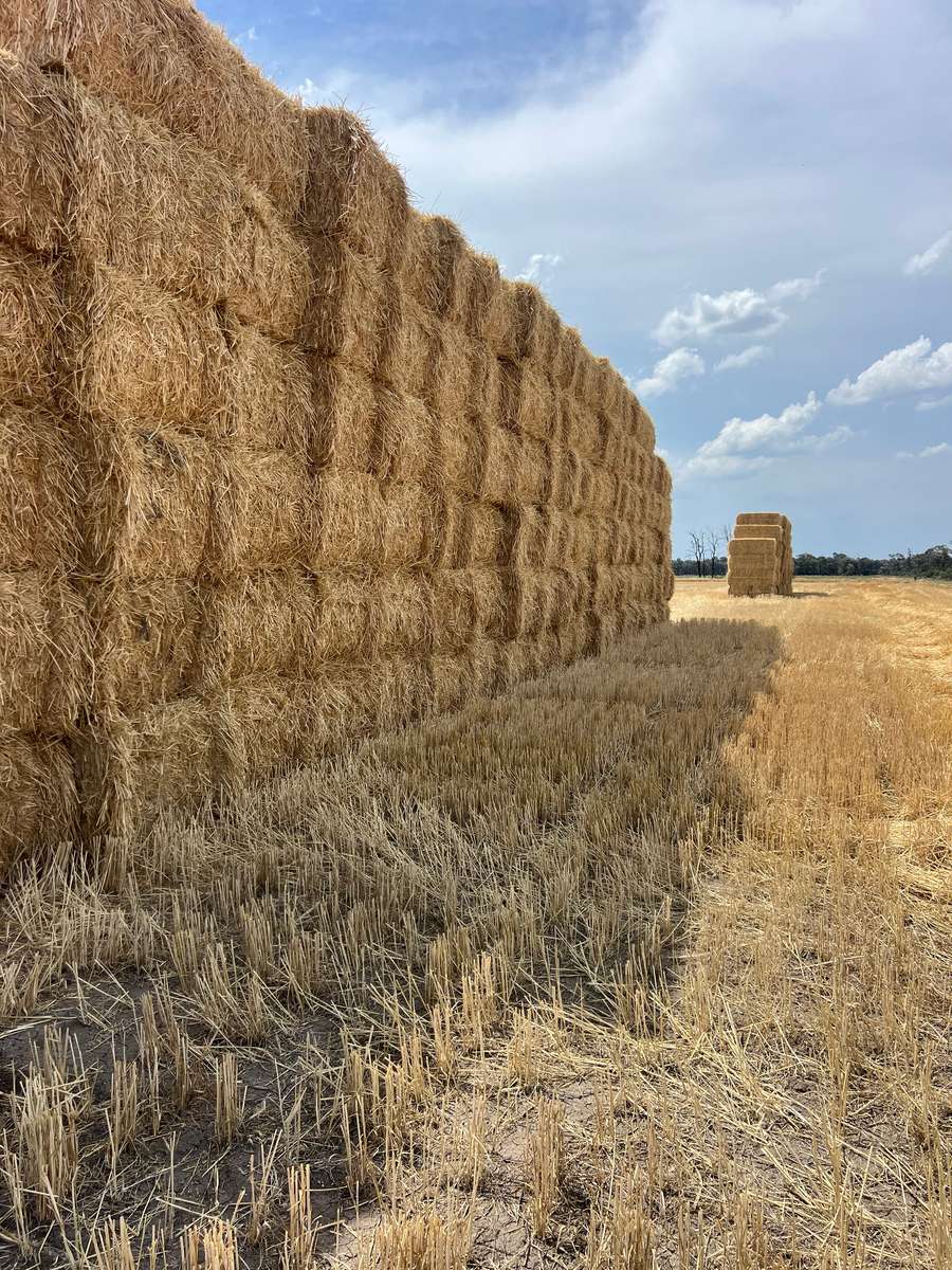 Batch 4990788000202777194 Image