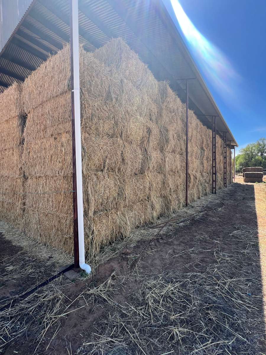 Batch 4990788000204000327 Image