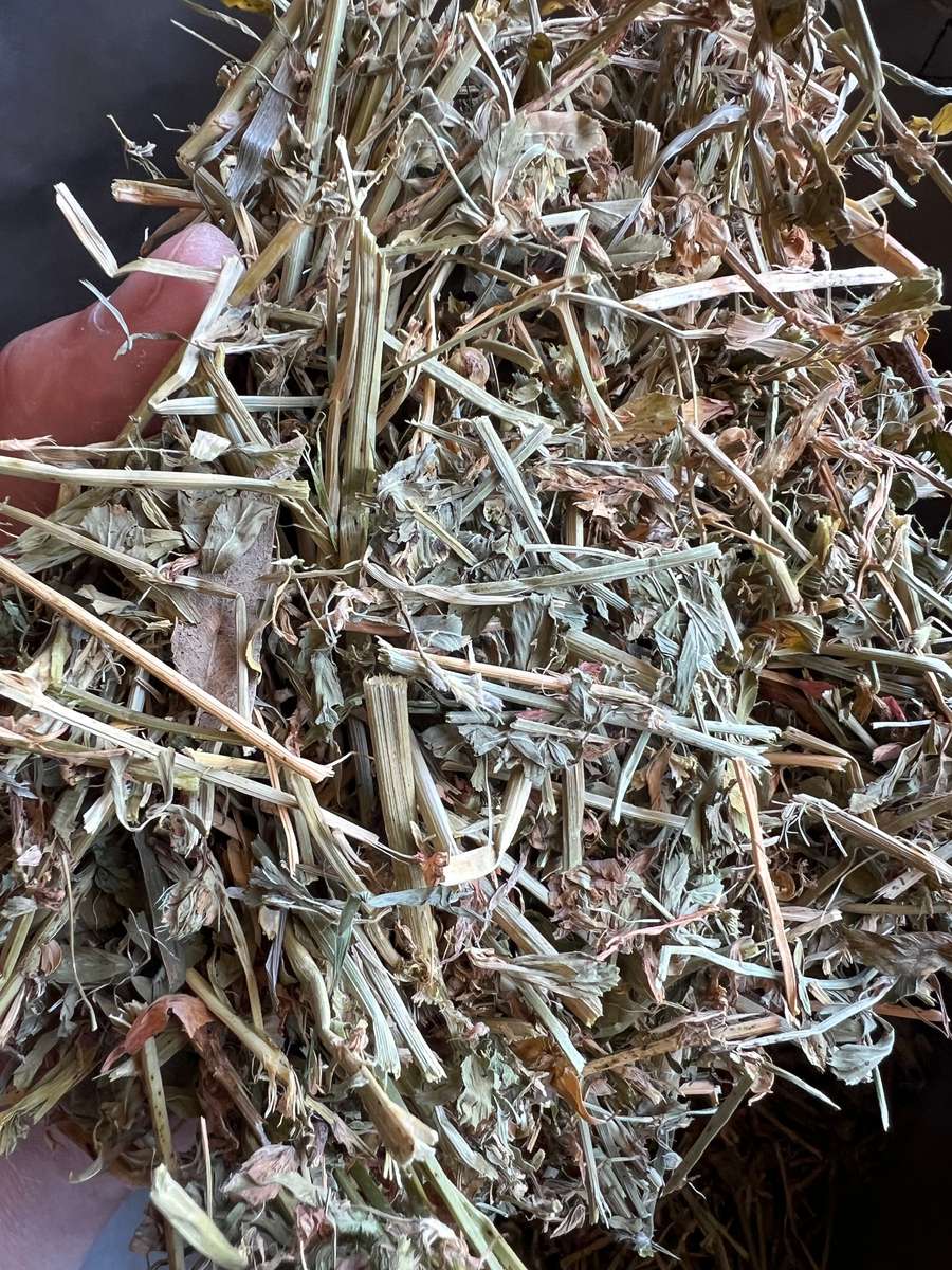 Batch 4990788000203788168 Image