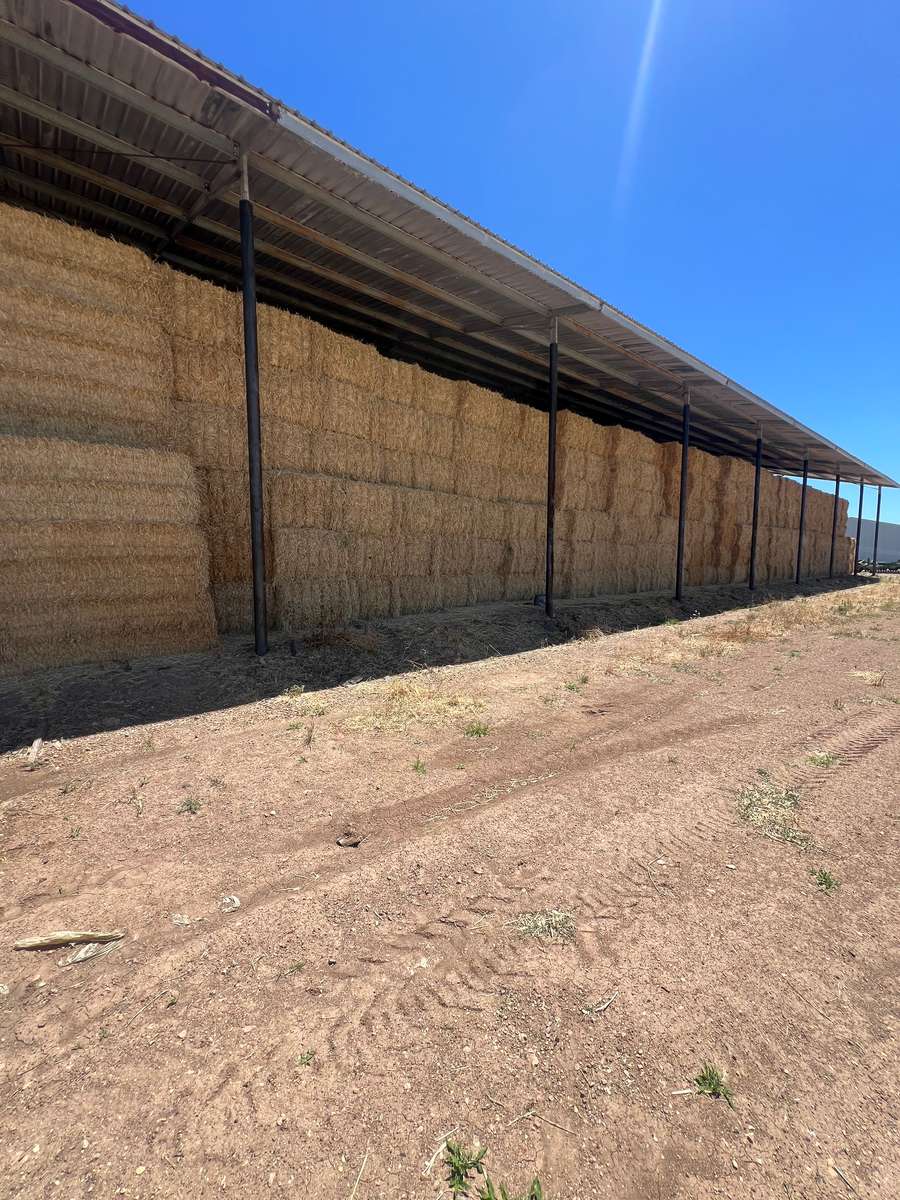 Batch 4990788000203176077 Image