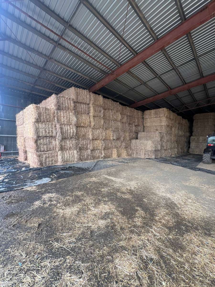 Batch 4990788000201973051 Image