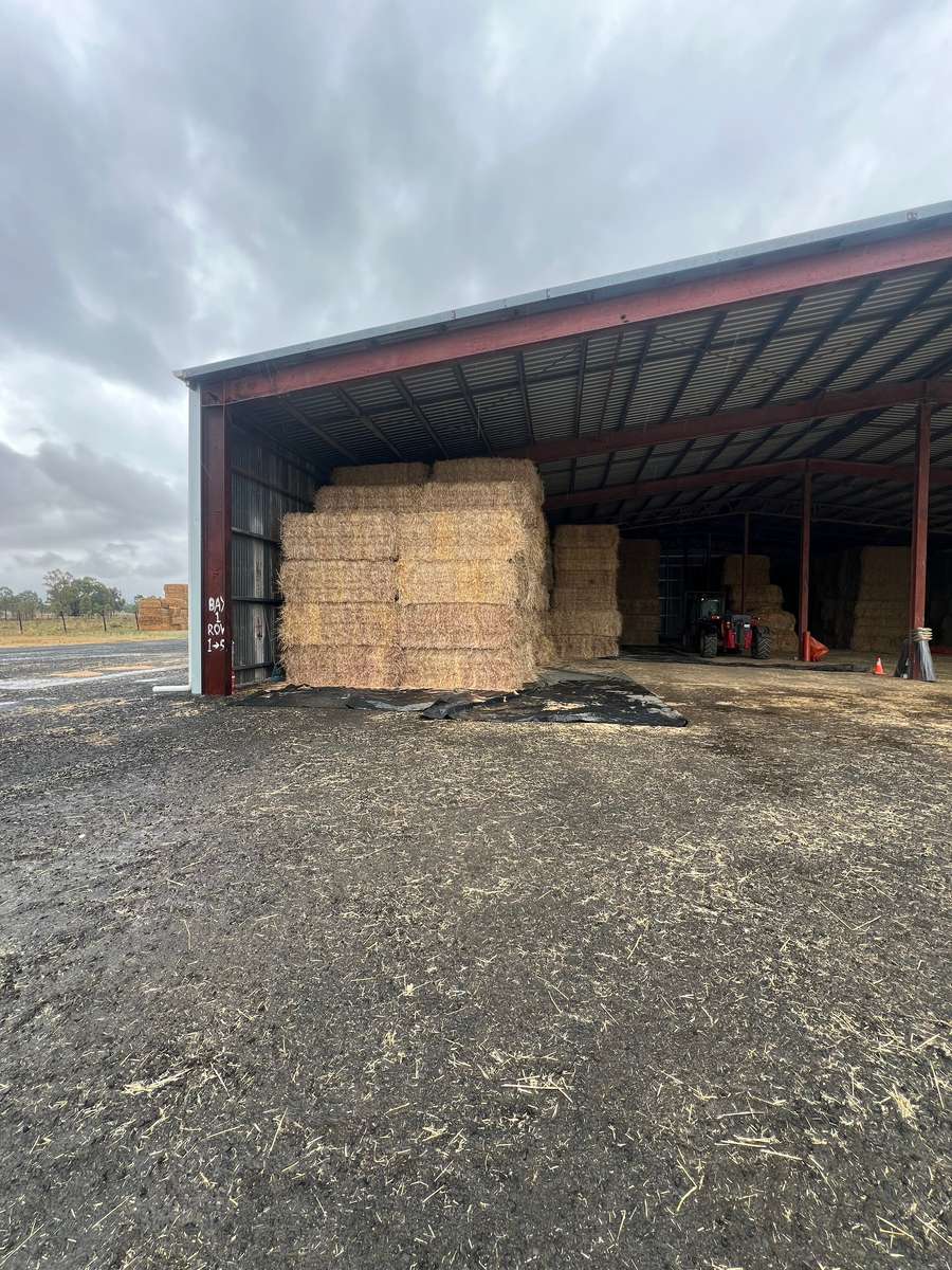 Batch 4990788000201973051 Image