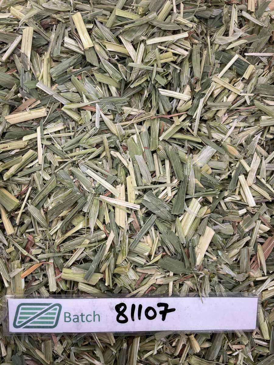 Batch 4990788000201460073 Image