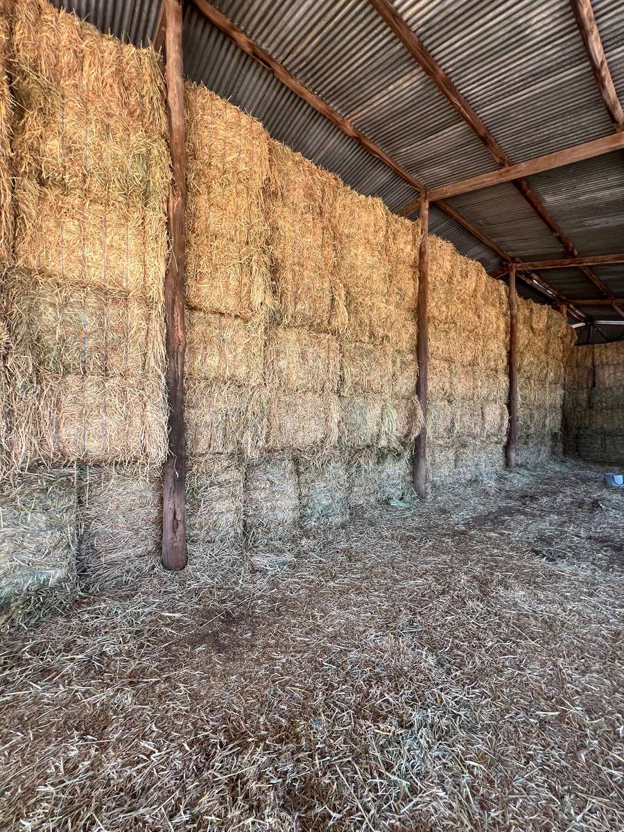 Batch 4990788000203786188 Image