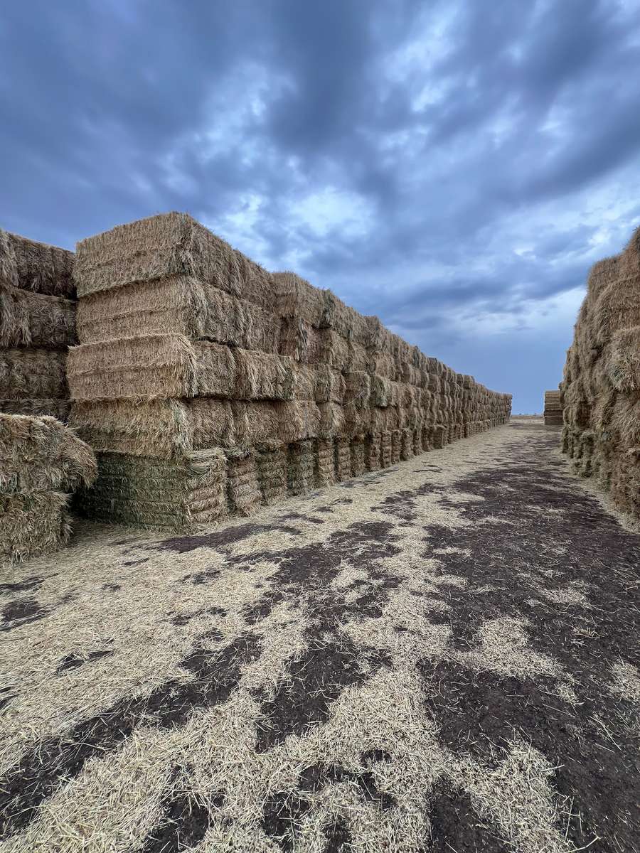 Batch 4990788000201338025 Image