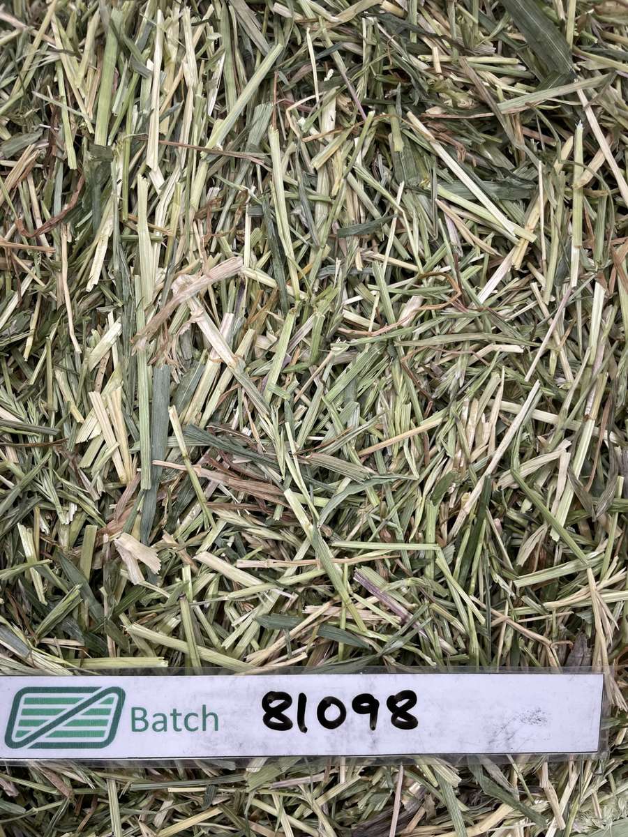 Batch 4990788000201338025 Image