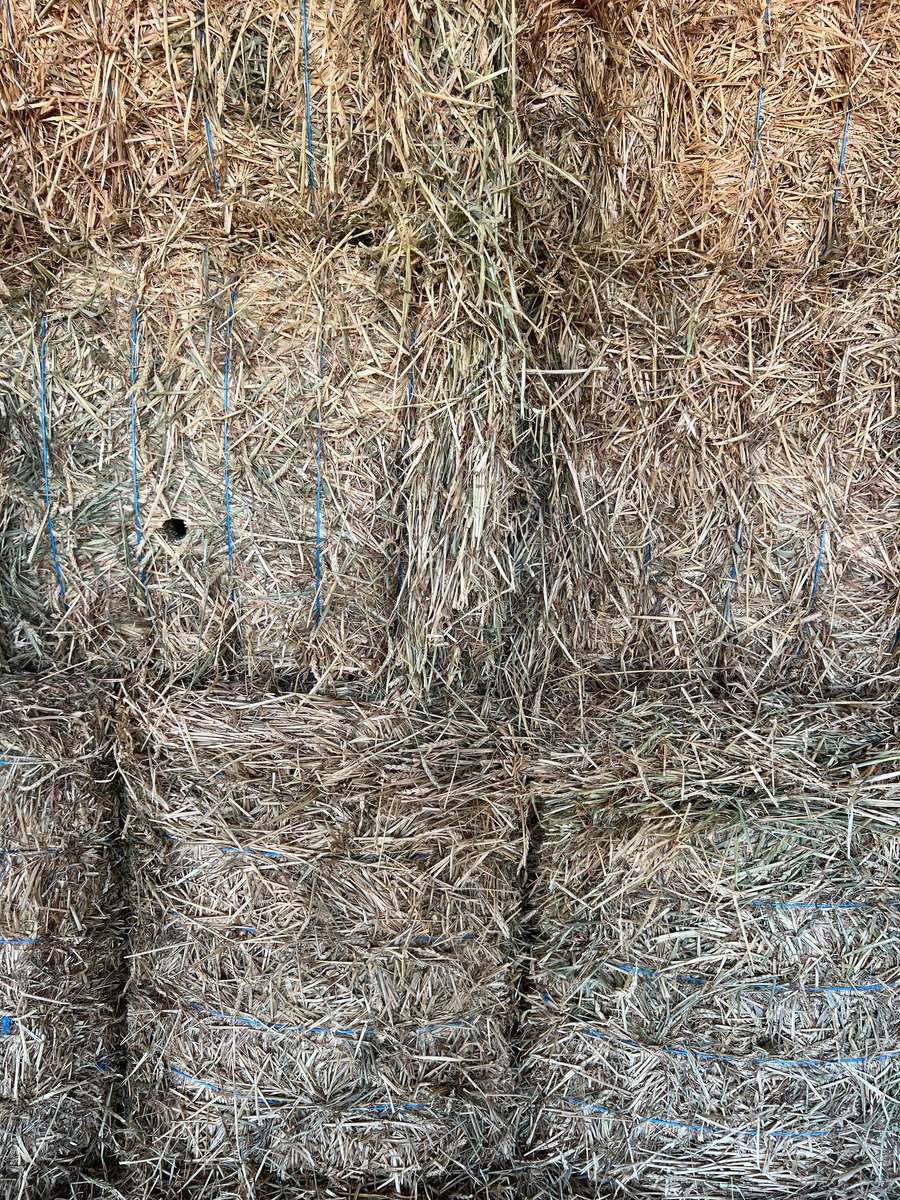 Batch 4990788000203786188 Image