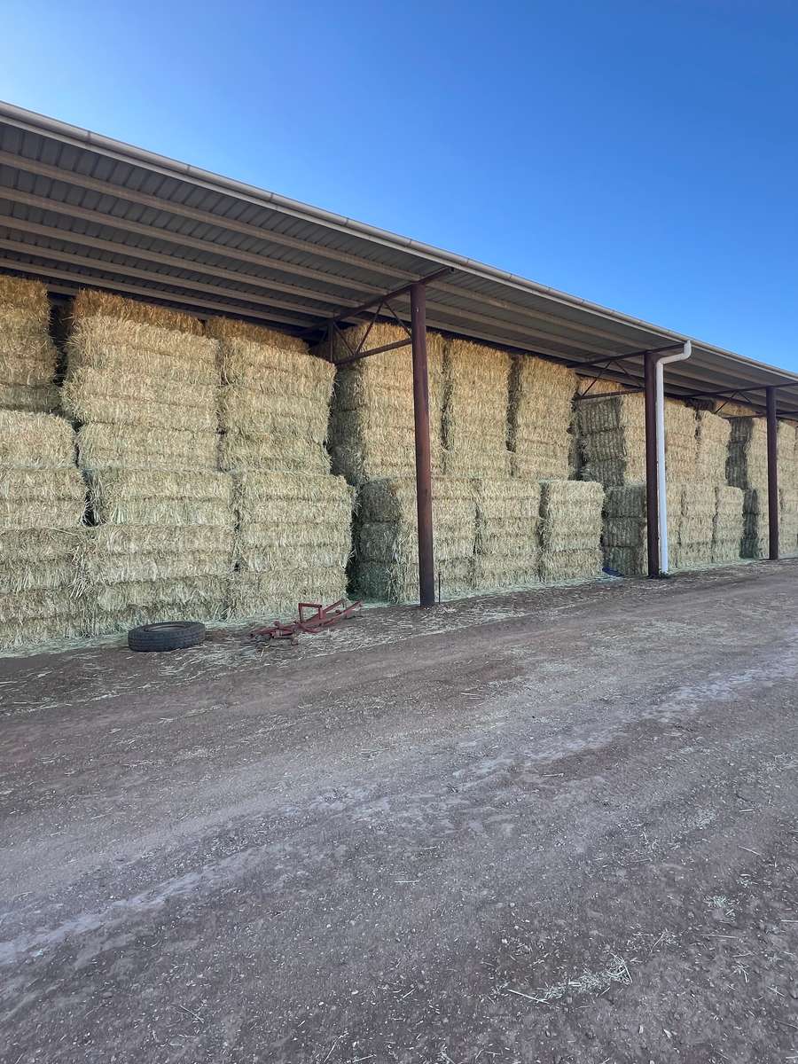 Batch 4990788000201316087 Image